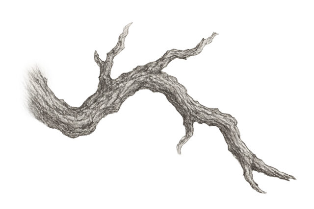 Twig1